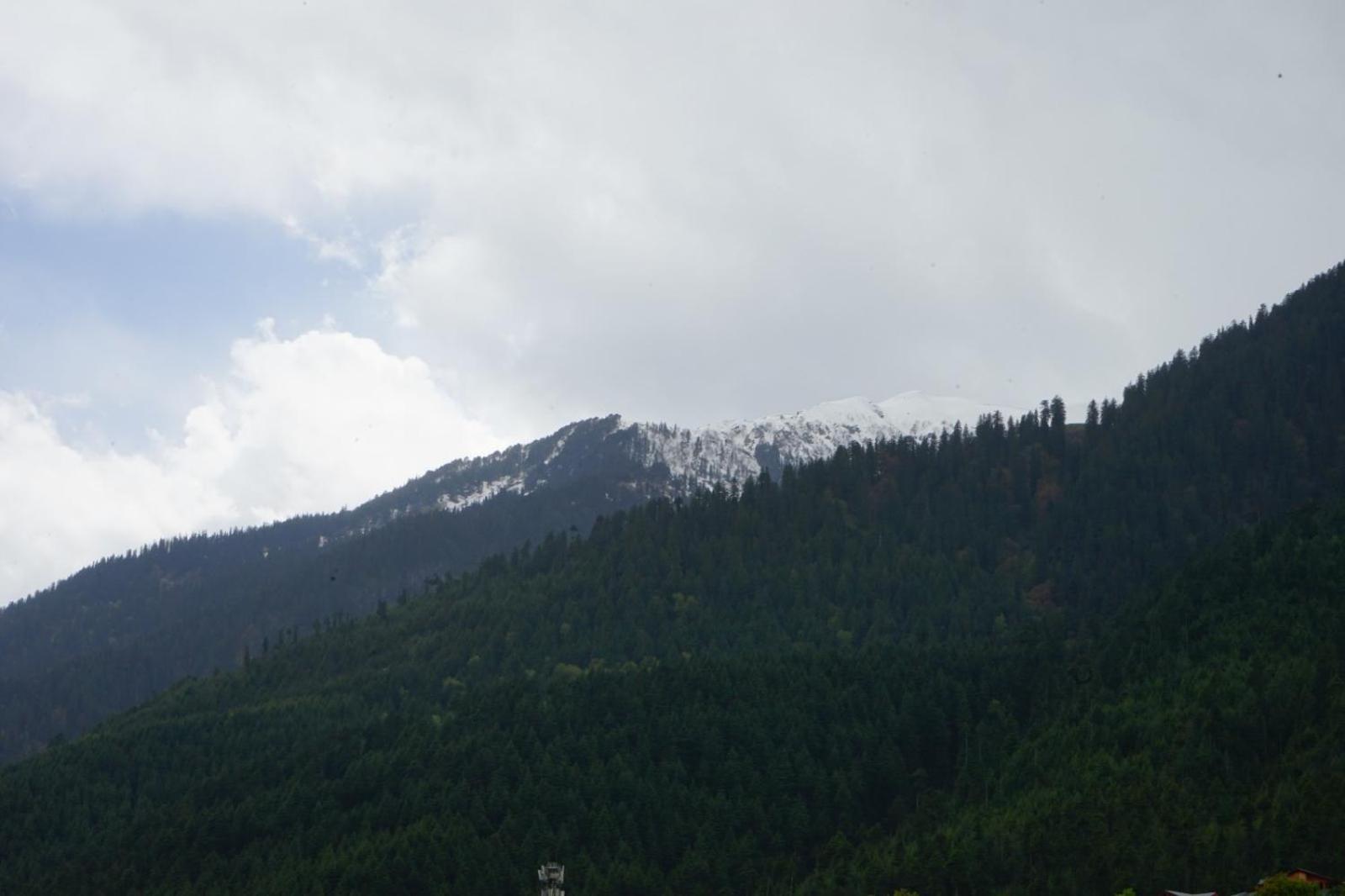 Hotel Magnolia Mallroad Manali Zewnętrze zdjęcie